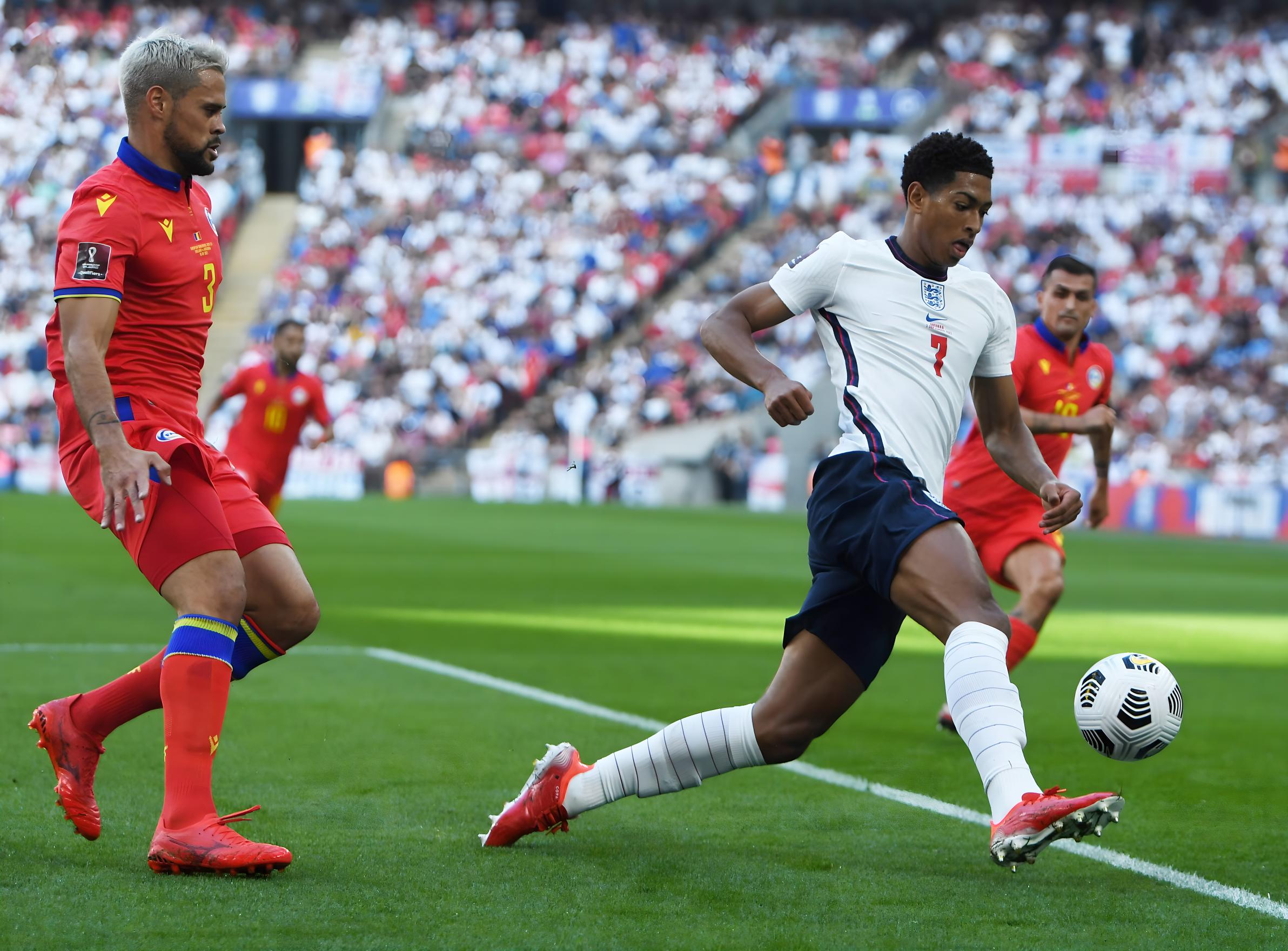 是许多本土 是许多本土