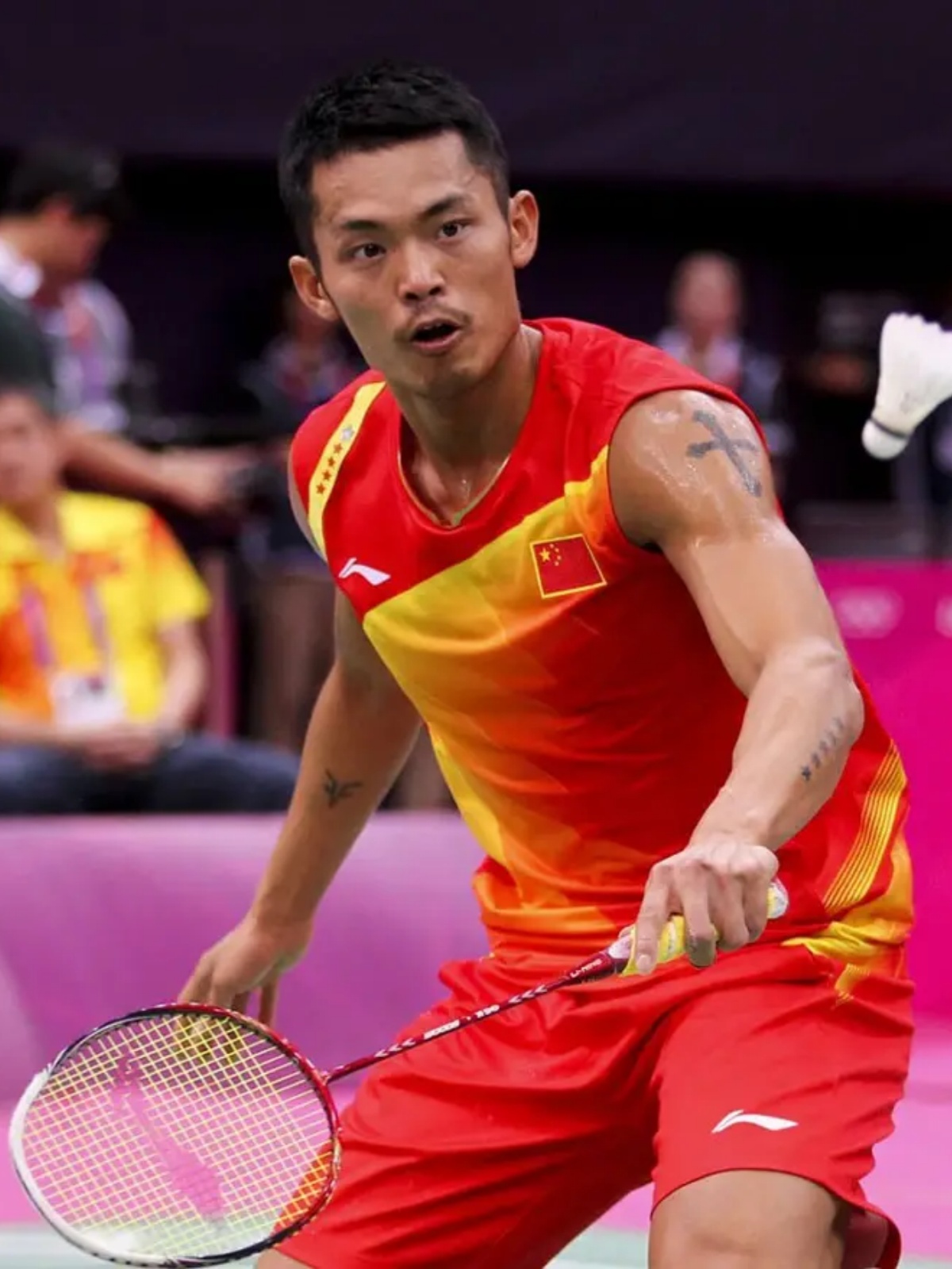 失可能会导 失可能会导